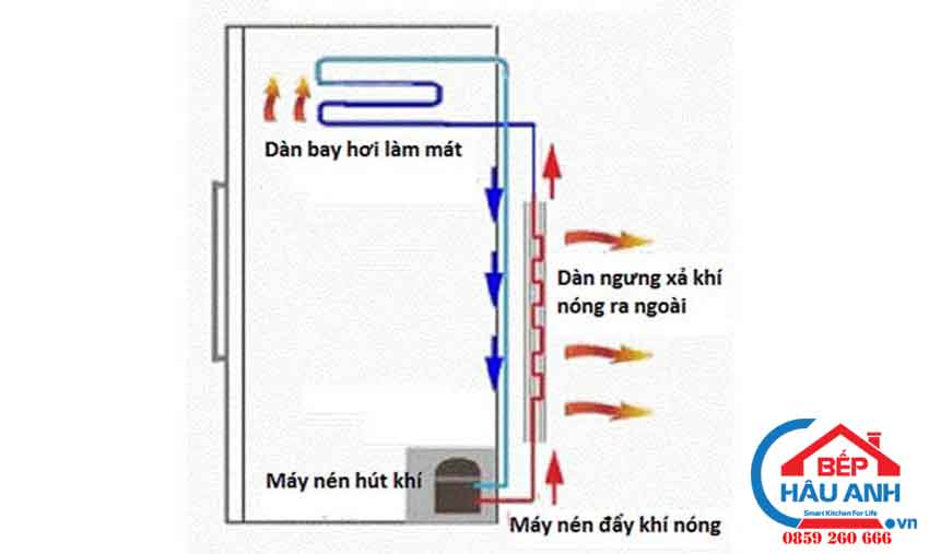 Tủ lạnh bị nóng 2 bên hông - cách khắc phục thế nào 6 Cấu tạo tủ lạnh dàn nóng 2 bên hông